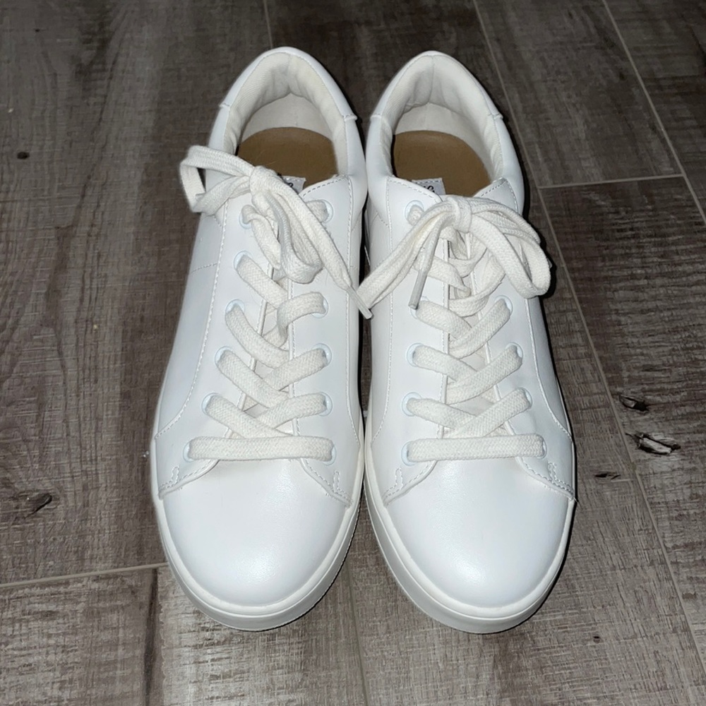 Steve Madden Bertie sneakers